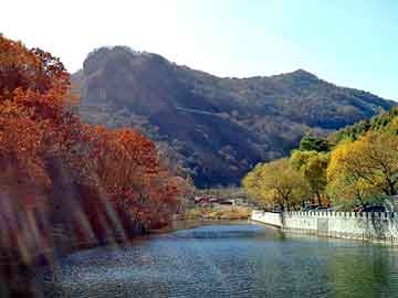 澳门一码一肖一恃一中312期，两生花祭